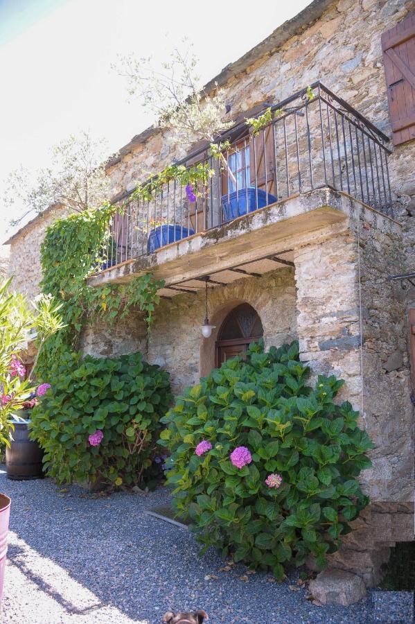 Bed and Breakfast A Casa Di Paulina Casta Zewnętrze zdjęcie